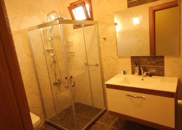 Alptekin 3*